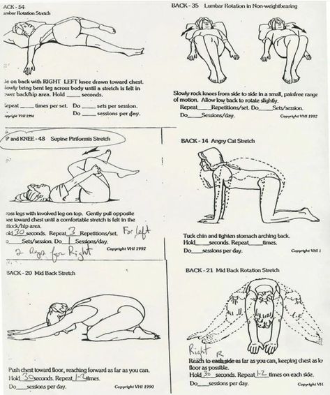 Piriformis Exercises, Lower Back Pain Stretches, Piriformis Stretch, Rehabilitation Exercises, Massage Therapy Techniques, Sciatica Exercises, Piriformis Syndrome, Back Stretches For Pain, Lower Back Pain Exercises