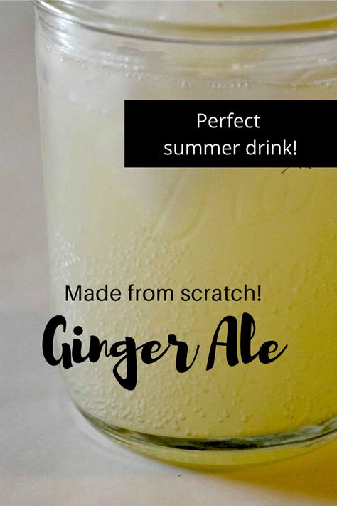 Beer Syrup, Homemade Summer Drinks, Ginger Ale Recipe, Ginger Beer Recipe, Ginger Soda, Homemade Ginger Ale, Homemade Soda, Perfect Summer Drink, Fermentation Recipes