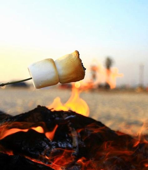 Mmmm… Smores! How to Roast Marshmallows over a Beach Bonfire & Make Smores http://beachblissliving.com/how-to-make-smores-over-fire-on-beach/ Make Smores, Beaches In California, Port Aransas Beach, Roast Marshmallows, Toasting Marshmallows, Coffee Board, How To Roast, Beach Wedding Guest Dress, Beach Bonfire