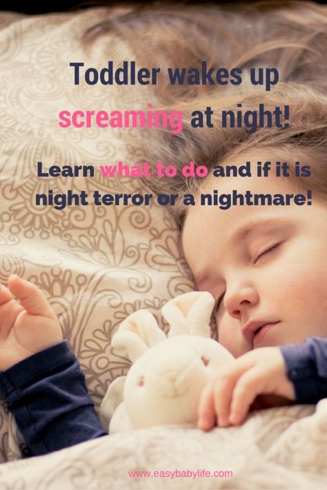 When a toddler wakes up every night screaming as loud as she can, it can be… Toddler Night Terrors, Toddler Screaming, Easy Potty Training, Newborn Sleep Schedule, Crying At Night, Starting Potty Training, Sleep Training Baby, Night Terror, Toddler Sleep