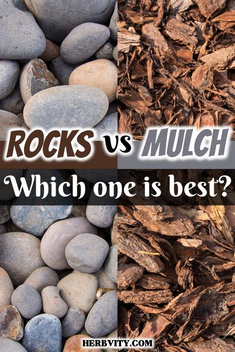 Mulch vs rocks are two main components of gardening. Each has its own benefits and drawbacks. After reading this post, you should have a good idea which one works best for your garden, or if you want to use both. Front House Rock Landscaping, Mulch Over Rock Bed, Rocks In Garden Bed, Stones In Flower Beds, Stone Beds Landscaping, River Gravel Landscaping Ideas, River Rock In Flower Beds, Landscaping With River Rocks Flower Beds, Outdoor Mulch Ideas