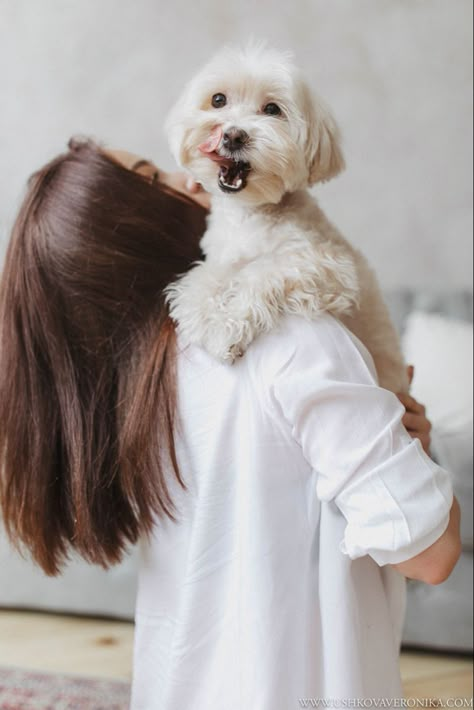 Small Dog Photoshoot, Family Dog Photos, Pet Photography Poses, Beginner Photography Camera, Dog Photography Poses, Dog Marketing, Dog White, Photos With Dog, Dog Photoshoot