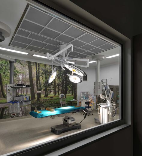 Hospital Operating Room, Diy Flower Crown, Hospital Interior, Hospital Design, Surgery Center, Veterinary Hospital, Dripping Springs, Operating Room, Theatre Room