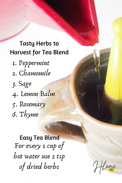 Herbs Life Tea Recipes, Fresh Herb Tea, Herbs For Health Herbal Teas, Harvesting Chamomile For Tea, Mugwort Tea Blend, Tea Facts, Sage Tea, Lemongrass Tea, Easy Teas