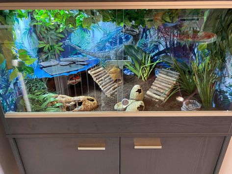 4x2x2 Bearded Dragon Enclosure, Snail Vivarium, Bearded Dragon Tank Ideas, Beardie Enclosure, Gecko Setup, Leopard Gecko Setup, Bearded Dragon Enclosure Ideas, Bearded Dragon Tank Setup, Bearded Dragon Setup