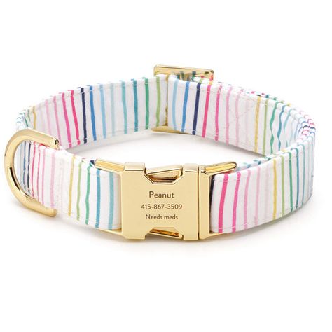 TFD x Simplified® Happy Stripe Dog Collar – The Foggy Dog Foggy Dog, Dog Trends, The Foggy Dog, Emily Ley, Cute Dog Collars, Old Pillows, Mini Goldendoodle, Modern Pet, Dog Beach