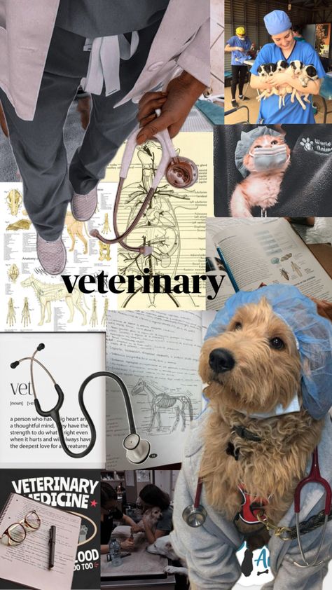 Vet Tech Aesthetic Wallpaper, Vet Collage, Vet Tech Wallpaper, Vet Med Aesthetic, Vet Tech Aesthetic, Vet Wallpaper, Vet Student Aesthetic, Aesthetic Vet, Veterinarian Aesthetic