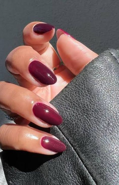 Biab Nail, Burgundy Nail Polish, Classic Nail Art, Nail Room Ideas, Maroon Nails, Trending Nails, Fall Nail Trends, Nails Aesthetic, Popular Nail Designs