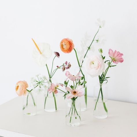 Modern minimalist bud vase arrangements Bud Vases Wedding, Bud Vases Arrangements, Vases With Flowers, Bud Vase Centerpiece, Modern Flower Arrangements, Minimalist Flowers, Wedding Vases, Vase Arrangements, Deco Floral