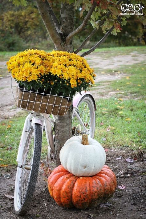 18 DIY Fall Decor Ideas We're Falling for Hard Fall Front Yard Decorations, Fall Yard Displays, Fall Lantern Centerpieces, Mum Planters, Bicycle Planter, Bicycle With Flowers, Porch Planter, Backyard Art, Bike Planter