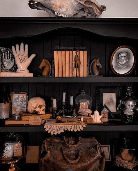 Coffin Halloween Decoration, Gothic Apothecary Decor, Oddities Shelf Ideas, Goth Bookshelf Decor, Apothecary Cabinet Halloween, Spooky Apothecary Display, Diy Coffin Mirror, Goth Shelf Decor, Gothic Bookshelf Decor