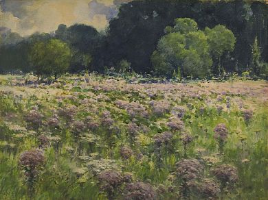 072214 joe pie weed ~ Field of Joe Pie Weeds (Pride of the Meadow), n.d., William Henry Holmes, watercolor on paperboard, sheet: 15 1/4 x 20 1/2 in. (38.8 x 52.0 cm), Smithsonian American Art Museum, Gift of Dr. Anna Bartsch Dunne, 1962.4.9 Countryside Paintings, William Henry, Meadow Flowers, Scientific Illustration, Forest Art, The Meadows, Vintage Art Prints, Unique Wall Art, Landscape Prints