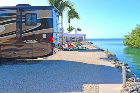 9 Perfect RV Parks in South Florida for Snowbirds Rv Parks In Florida, Florida Campgrounds, Bahia Honda State Park, Best Rv Parks, Florida Parks, Rv Parks And Campgrounds, Florida State Parks, Rv Campgrounds, Everglades National Park