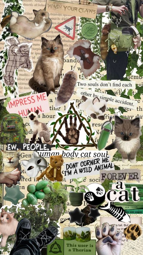 #therian #therianthropy #moodboards #ragdollcat #cat #cattherian #aesthetic Therian Wallpaper Ipad, Therian Aesthetic Wallpaper, Me As An Animal, Therian Phone Wallpaper, Cat Therian Aesthetic, Therian Schedule, Therian Journal Ideas, Therian Moodboard, Therian Core