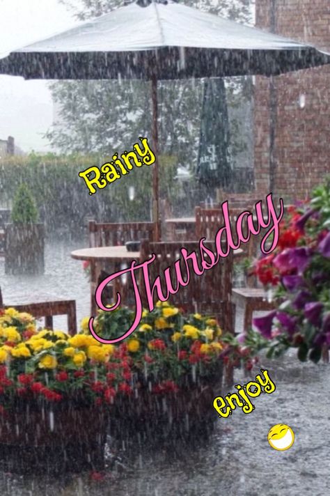 Rainy Thursday Quotes Good Morning, Rainy Thursday, Thursday Morning Quotes, Good Morning Rainy Day, Thursday Greetings, Happy Thursday Quotes, Good Morning Thursday, Thursday Quotes, Rainy Morning