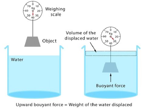 Archimedes Principal Archimedes Principle, Weighing Scale, Google Images, Physics, Meant To Be, Force, Quick Saves