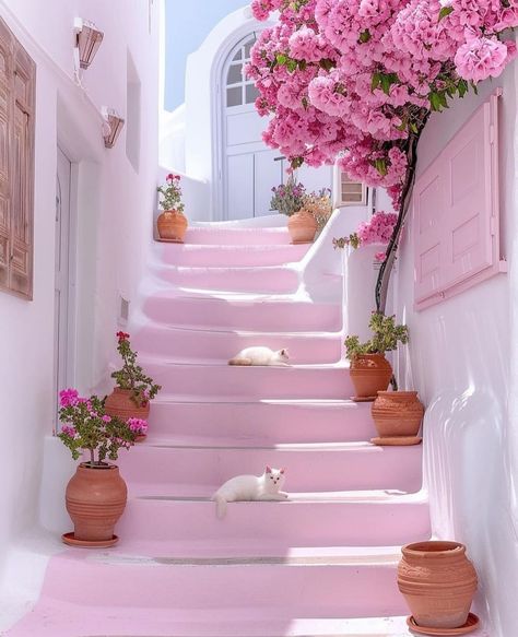 Pink Front Door, I Believe In Pink, Background Aesthetic, Greek Style, Just Peachy, Stairway To Heaven, Pink Houses, Tickled Pink, Paros