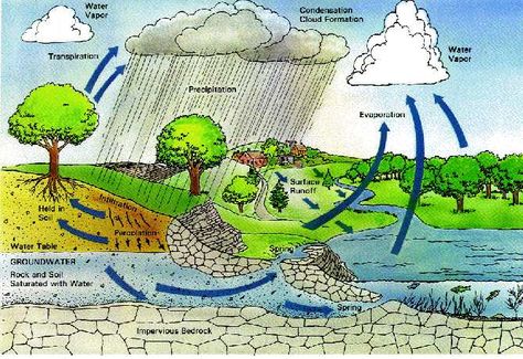 Diagram of water circulation. Water Harvesting, Water From Air, The Water Cycle, Rainwater Harvesting System, Water Barrel, Rain Collection, Water Cycle, Water Collection, Rainwater Harvesting