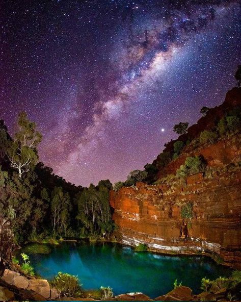 Buying A Business, Clear Night Sky, National Park Travel, Kings Park, Rose Photos, Wine Region, Light Show, Australia Travel, Holiday Destinations