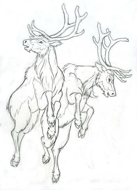 Draw Deer, Reindeer Drawing, Deer Sketch, Fly Drawing, Flying Reindeer, Deer Drawing, Christmas Tinsel, Deer Art, Drawing Stuff