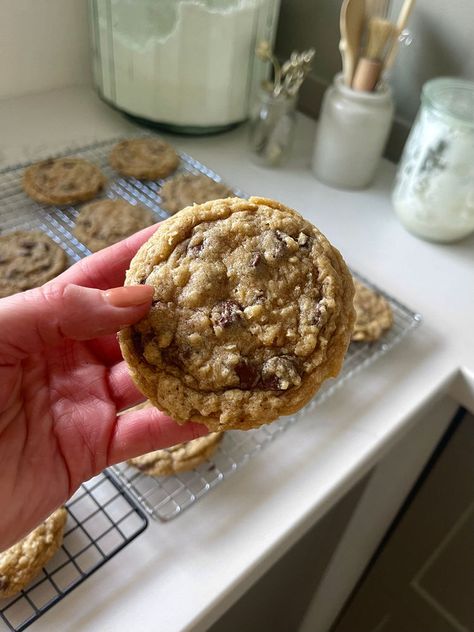 Sourdough Oatmeal Chocolate Chip Cookies Oatmeal Chocolate Chip Sourdough Cookies, Discard Oatmeal Cookies, Sourdough Lactation Cookies, Chocolate Chip Sourdough Cookies, Sourdough Oatmeal Chocolate Chip Cookies, Sourdough Discard Oatmeal Cookies, Soughdough Recipes, Sourdough Oatmeal Cookies, Sourdough Oatmeal