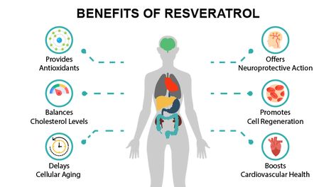 Consumer Review | Resveratrol Supplements - Is Your Resveratrol Supplement Effective? Resveratrol Benefits, Memory Supplements, Plant Sterols, Probiotic Supplement, Best Probiotic, Stronger Immune System, Probiotics Supplement, Best Doctors, Cardiovascular Health