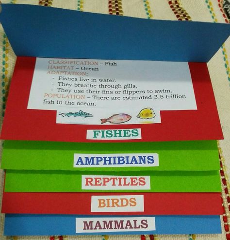 Flip book of classification of animals. Animal Classification Project, Classification Of Animals, Animal Classification For Kids, Animal Classification Activity, Common And Proper Nouns, Teach English To Kids, Interactive Notes, Animal Classification, Science Journal