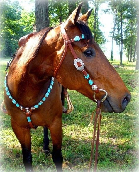 bitchenfries Bling Tack, Working Cow Horse, Barrel Racing Tack, Paint Horse, Western Horse Tack, Horse Gear, My Horse, Brown Horse, All The Pretty Horses