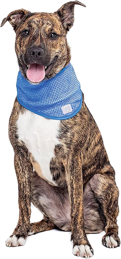 Amazon.com : GF Pet Ice Dog Bandana, Large/X-Large : Pet Supplies Dog Cooling Bandana, Feeling Uncomfortable, French Mastiff, Puppy Kisses, Dog Vest Harness, Dog Brushing, Indoor Dog, Dog Vest, Dog Neck