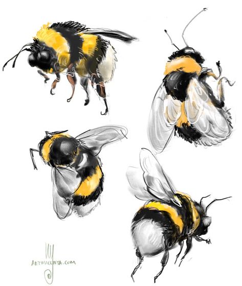 Bee Illustration Cute, Drawing Of Bee, Bumble Bee Sketch, Drawing A Bee, Bumblebee Sketch, Bee Art Painting, Watercolour Bees, Everyday Sketches, Bumble Bee Drawing