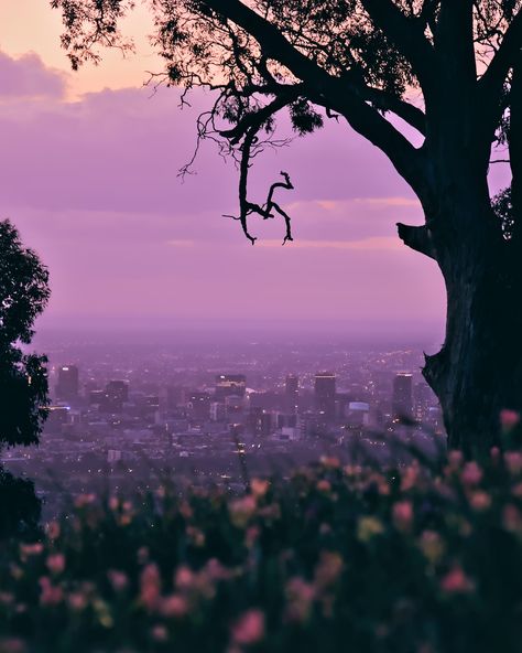 Hey Adelaide, spring looks good on you. . . . . #adelaide #southaustralia #mtosmondlookout #mountosmond #travelgram #travelcontentcreator #australia #photography Australia Photography, Adelaide Australia, Adelaide South Australia, Spring Looks, South Australia, Australia Travel, Australia, Photography, Travel