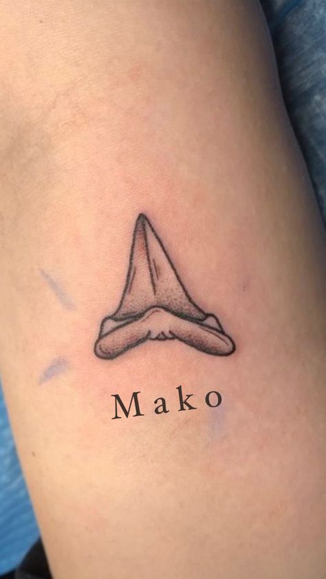 Mako Shark Tooth Tattoo, Sharks Tooth Tattoo, Shark Tooth Drawing, Shark Teeth Tattoo, Mako Shark Tattoo, Tattoo Shark, Shark Tooth Tattoo, Tooth Tattoo, Teeth Drawing