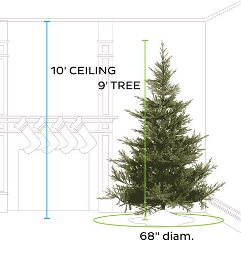 Christmas Tree Height, What Size Christmas Tree Do I Need, Christmas Tree Size Guide, Christmas Tree High Ceiling, Christmas Tree Height Guide, Add Height To Christmas Tree, Adding Height To Christmas Tree, Raise Christmas Tree Height, How Many Lights For 7ft Tree