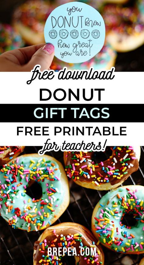 This free printable donut gift tag is the perfect teacher gift! It would work for Christmas, end of year, back to school, or just teacher appreciation. The perfect way to say thank you! #freeprintable #teachergift #donutgift #gifttag Donut Appreciation Printable Free, Free Teacher Appreciation Gifts, Donut Gift Tag, Donut Printable, Donut Gifts, Teacher Appreciation Printables, Teacher Appreciation Gifts Diy, Appreciation Printable, Single Recipes