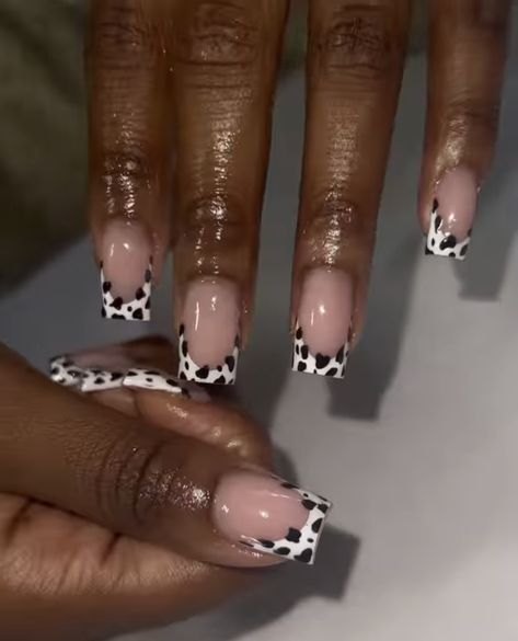 Cow Print Toe Nails, Nail Inspo Cow Print, Beginner Nail Designs, Cow Print Nails, Black Gel Nails, 2023 Nail, Cow Nails, Acrylic Nail Powder, Diy Acrylic Nails