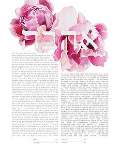 Ahava Peonies Ketubah, watercolor painted wedding certificate  www.thepaintedketubah.com #jewishwedding #mazeltov #ketubah Marriage Documents, Jewish Tattoo, Ketubah Art, Hebrew Calligraphy, Jewish Marriage, Marriage Contract, Jewish Weddings, Wedding Certificate, Peony Painting