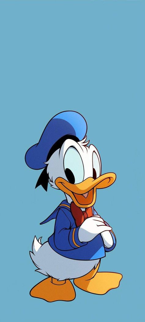 Donald Duck With Money, Donald Duck Pfp, Donald Duck Wallpaper, Donald Duck Art, Hummingbird Art Drawing, Looney Tunes Wallpaper, Teen Wallpaper, Cartoons Hd, Duck Wallpaper