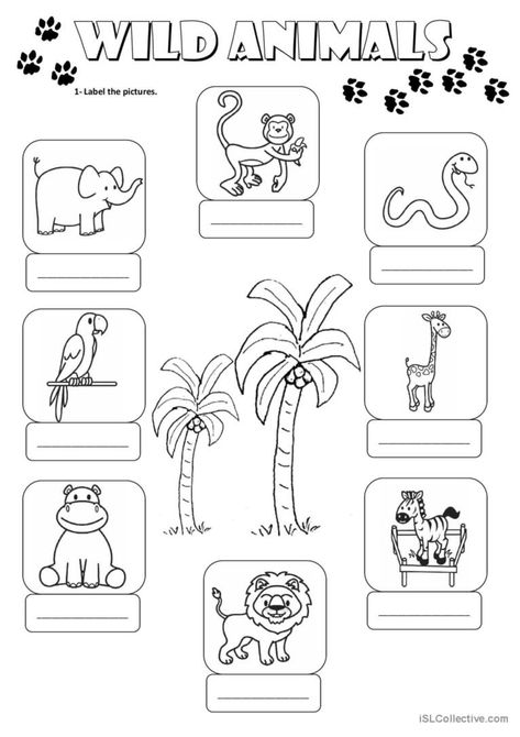 Wild Animals Worksheets For Kids, Animals Worksheets For Kids, Animals Worksheet, Animal Worksheets, Spelling Worksheets, Alphabet Phonics, Grade Spelling, 2nd Grade Worksheets, English For Kids