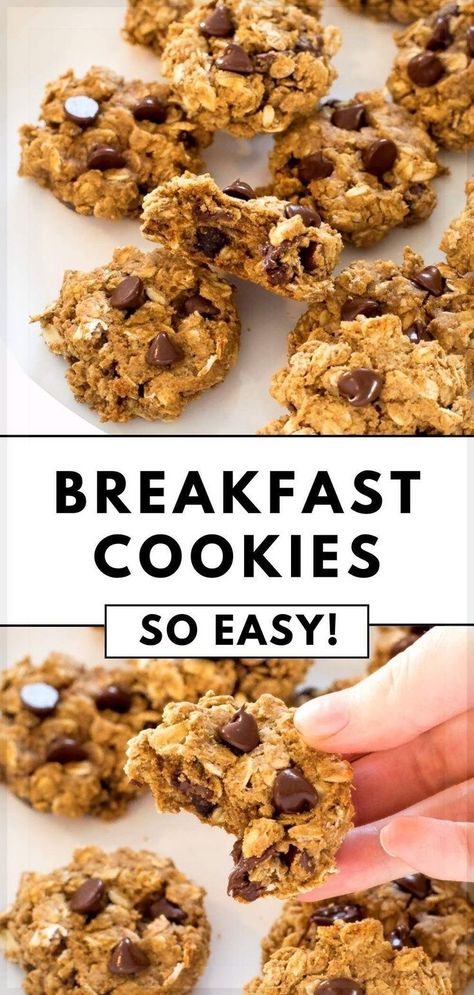 Looking for a healthy breakfast recipe? These decadent breakfast cookies are loaded with oats, peanut butter, chocolate chips, and protein. Perfect for a sweet, healthy, delicious breakfast or afternoon snack! What better way to start your day then with a cookie? Especially one you don’t have to feel guilty about! These homemade cookies are loaded with healthy ingredients that will keep you full throughout the day. There is no butter or oil in these cookies; just healthy, natural ingredients. One Bowl Breakfast Cookies, Breakfast Cookies Healthy Oatmeal Peanut Butter, Breakfast Cookies No Peanut Butter, Hearty Breakfast Cookies, Jumbo Breakfast Cookies, Energy Cookies Healthy, Oatmeal Chocolate Chip Breakfast Cookies, High Fiber Breakfast Cookies, Breakfast Protein Cookies