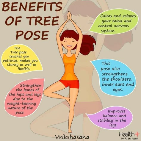 Tree Pose Yoga, Yoga Information, Yoga Facts, Daily Yoga Workout, Tree Pose, Health And Fitness Articles, Easy Yoga Workouts, Pose Yoga, Daily Yoga