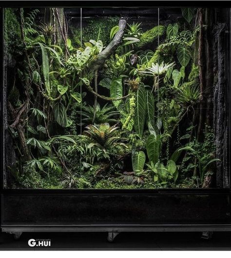 Giant Terrarium, Large Terrarium Ideas, Bioactive Vivarium, Water Terrarium, Vertikal Garden, Aquarium Garden, Frog Terrarium, Large Terrarium, Fish Tank Terrarium