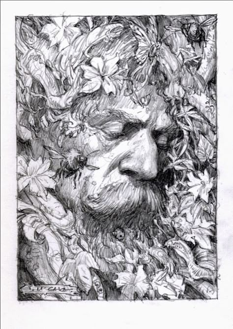 Lain Mccaig, Ian Mccaig, Iain Mccaig, Alan Lee, Rip Van Winkle, The Green Man, Best Pencil, Drawing Designs, Arte Sketchbook