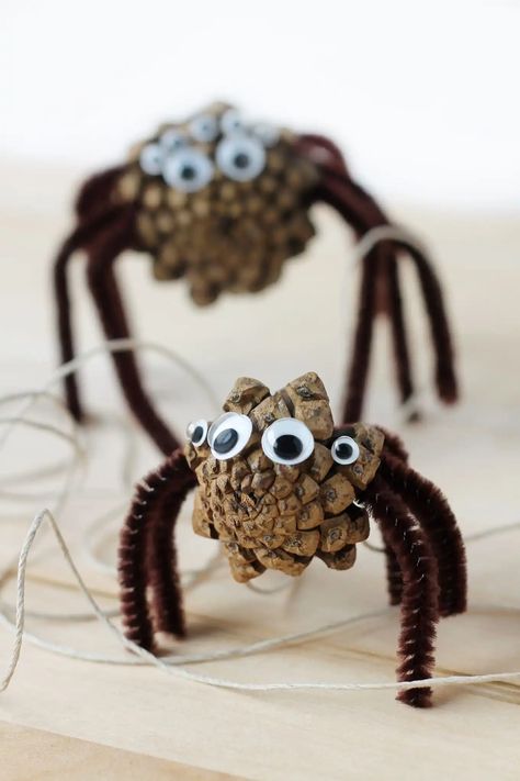 Kids of all ages will enjoy collecting pine cones to create Pine Cone Spiders for Halloween. This creepy-cute nature craft is perfect for home, school, community programs, and camp. #pineconespiders #naturecraft Creepy Halloween Decorations Diy, Spider For Halloween, Halloween Nature, Spider Craft, Pinecone Crafts Kids, Cheap Halloween Decorations, Spider Crafts, Nature Craft, Easy Halloween Crafts