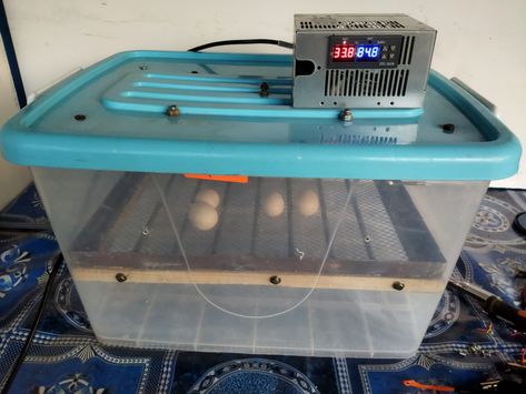 Homemade incubator, comment monter un incubateur plastique. Incubator at home Homemade Incubator, Chicken Eggs, To Create, Create Your, Chicken, Electronic Products