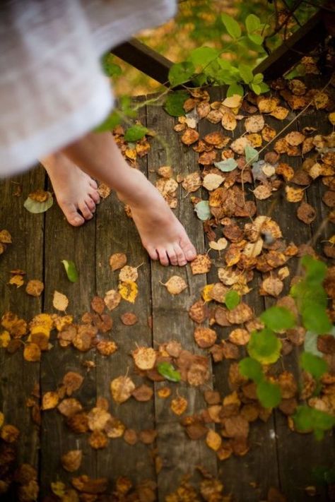 Indian Summer, Perfect World, Autumn Garden, Simple Pleasures, Autumn Inspiration, Autumn Day, Fall Halloween, Autumn Leaves, Fall Colors