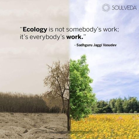 Save Nature Quotes Environment, Save Nature Quotes, Ecofriendly Quotes, Ecology Quotes, Upsc Quotes, Recycling Quotes, Solution Quotes, Ecology Art, Magazine Publication