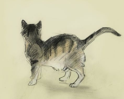 Cat by Julian Williams Striped Cat Drawing, Cat And Dog Drawing, Sketch Cat, Cat Sketches, Draw Cat, Advanced Higher Art, Whale Fish, Dark Academia Art, Higher Art