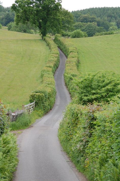 The way is narrow... Horse Trail, Beautiful Roads, Country Roads Take Me Home, Scenic Roads, British Countryside, Winding Road, Back Road, Green Gables, East Sussex