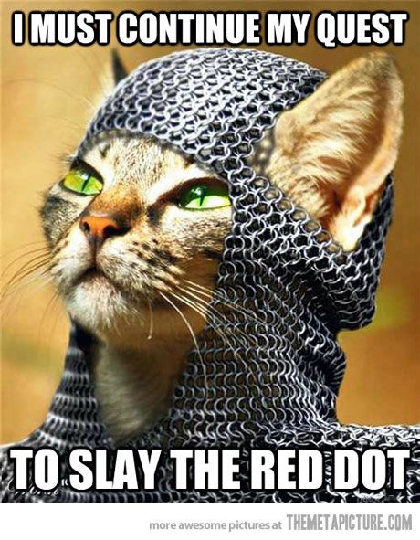 Sir Pursalot Gatos Cool, Dnd Campaign, Campaign Ideas, Animal Humor, Dnd Ideas, Magic Items, Dungeon Master, Grumpy Cat, Funny Animal Pictures