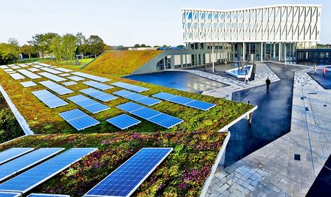 The new town hall building in Viborg, Denmark is a marvel of sustainable and striking design, thanks to Henning Larsen Architects. Green Roof Planting, Roof Plants, Green Roof Design, Green Roof System, Grass Roof, Energy Efficient Buildings, Urban Heat Island, Solar Panels Roof, Green Roofs